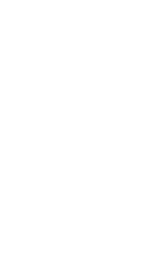История