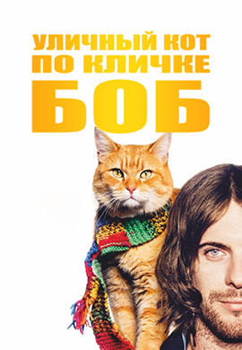 Уличный кот по кличке Боб