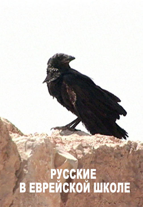 Постер к фильму Русские в еврейской школе 2008