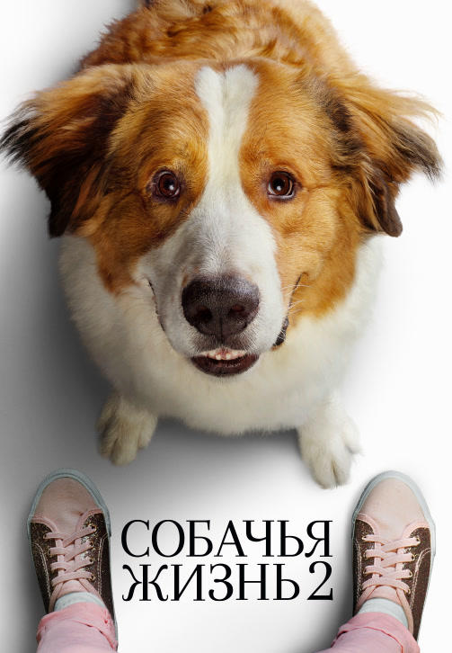Постер к фильму Собачья жизнь 2 2019
