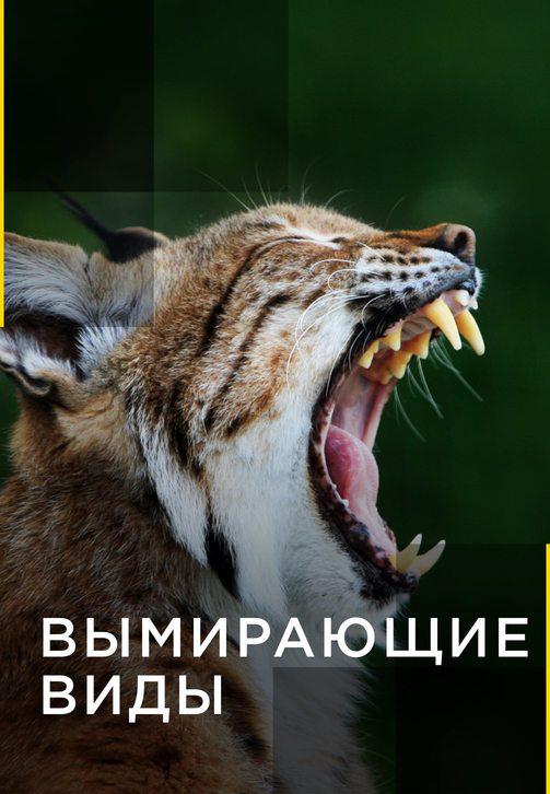 Вымирающие виды